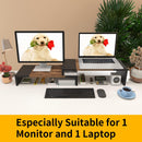 WESTREE Dual Monitor Stand