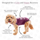 BellyGuard Recovery Suit for Dogs