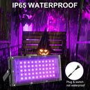 50W LED Black Lights for Glow Party