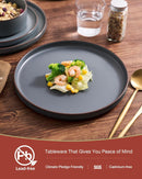 Nebula Ridge Stoneware Dinnerware Sets, Plates and Bowls Sets