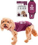 BellyGuard Recovery Suit for Dogs