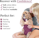 BellyGuard Recovery Suit for Dogs