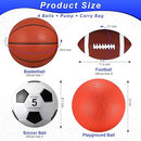 Lenwen 4-Piece Sports Ball Set with Pump & Bag