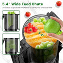 Cold Press Masticating Juicer