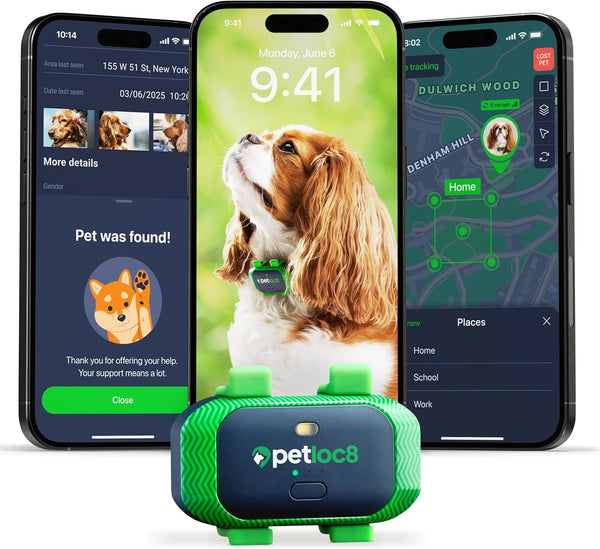 Dog GPS Tracking Device